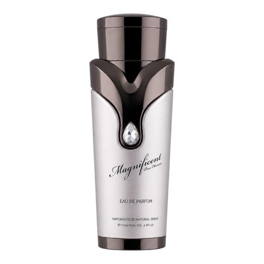 Magnificent Pour Homme de Armaf, 100 ml EDP